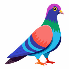 Pigeon Vibrant Vector Illustration