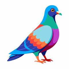 Pigeon Vibrant Vector Illustration