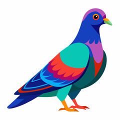 Pigeon Vibrant Vector Illustration