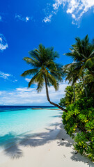 palm tree on Maldive beach - white sand - blue sky and sea - slights clouds - portrait view