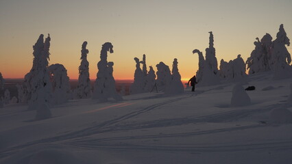 Winter in the Artic