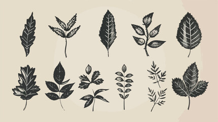 leafs plant set vintage icons Vectot style vector design