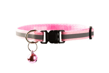 Pet supplies. Collar for a cat or dog with a bell isolated on a white background. Bright colored...