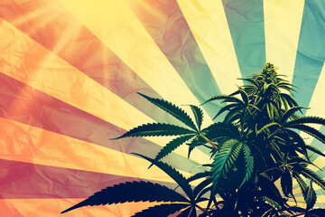 Cannabis bush on the background of a flag with the image of sun rays, poster