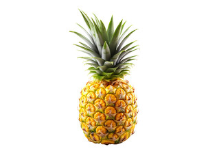 a pineapple with a green stem