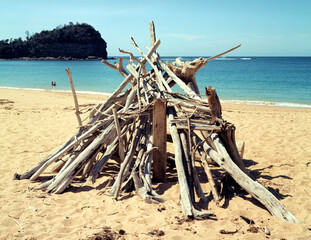 A shelter like structure from tree trunks or driftwood on sandy beach. Medium format film (Kodak...