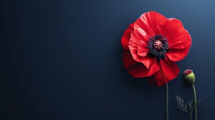 Poppy, deep navy background, cover of magazine, spotlight effect, angled from above