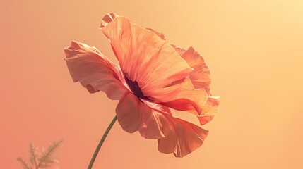 Poppy, pastel orange background, magazine cover style, soft lighting, direct front shot