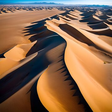 sunset in the desert