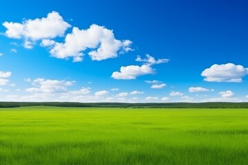 Obraz premium green grass field landscape.