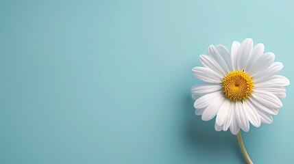 Daisy, serene blue background, magazine cover design, backlit, bird seye view