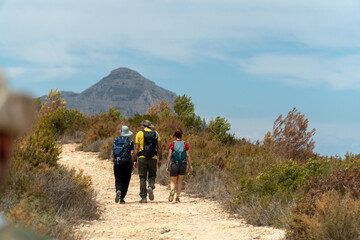 Obraz premium Unrecognizable people hiking outdoors on a summer day.