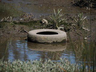 garbage in Aveiro lagoon Ria de Aveiro located on the Atlantic coast of Portugal
