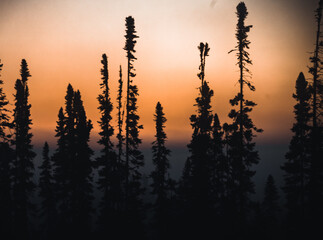 James Bay Twilight: Majestic Silhouettes Against an Orange Sky
