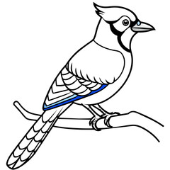 blue jay bird vector art illustration (2)