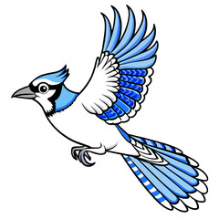 blue jay bird vector art illustration (22)