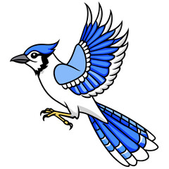 blue jay bird vector art illustration (28)