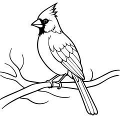 cardinal bird coloring book page vector art illustration, solid white background (25)