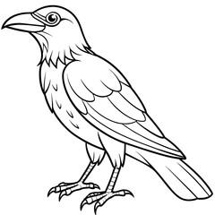 Crow coloring book page vector art illustration (4)