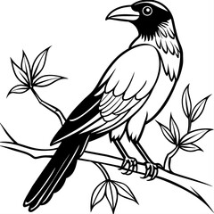 Crow coloring book page vector art illustration (27)