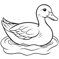 Duck Coloring book page vector art illustration line art (14)