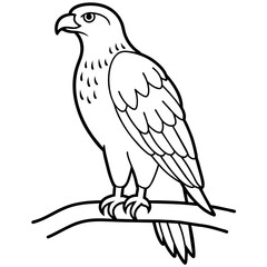 Eagle Coloring book page illustration (14)