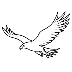 Eagle Coloring book page illustration (12)