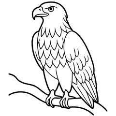 Eagle Coloring book page illustration (17)