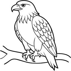 Eagle Coloring book page illustration (18)