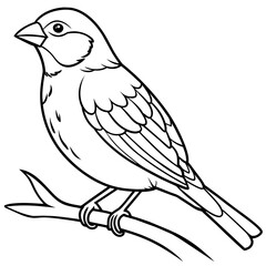 finch bird coloring book page vector (3)