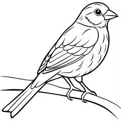 finch bird coloring book page vector (7)