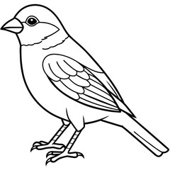 finch bird coloring book page vector (9)