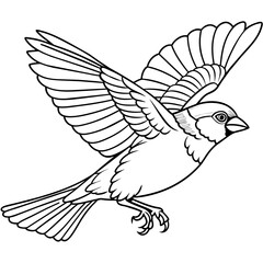 finch bird coloring book page vector (11)