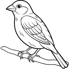 finch bird coloring book page vector (13)