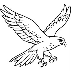 Hawk bird coloring book page vector illustration (7)