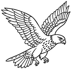 Hawk bird coloring book page vector illustration (8)