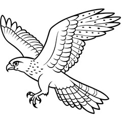 Hawk bird coloring book page vector illustration (6)
