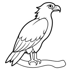 osprey bird oloring book page vector art illustration, solid white background (7)