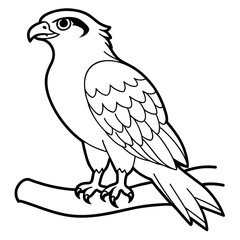 osprey bird oloring book page vector art illustration, solid white background (6)