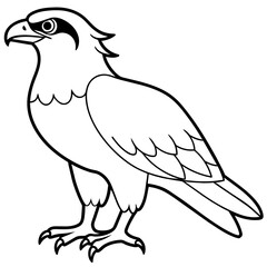 osprey bird oloring book page vector art illustration, solid white background (12)