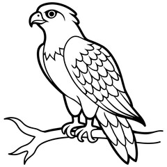 osprey bird oloring book page vector art illustration, solid white background (10)