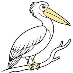 pelican bird coloring book page vector illustration (11)