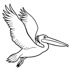 pelican bird coloring book page vector illustration (13)