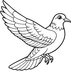 pigeon bird coloring book page vector illustration (1)