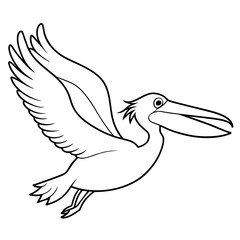 pelican bird coloring book page vector illustration (21)