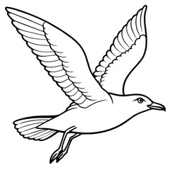 seagull bird Coloring book vector art illustration (4)