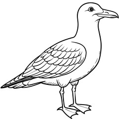 seagull bird Coloring book vector art illustration (7)