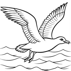 seagull bird Coloring book vector art illustration (3)