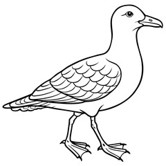 seagull bird Coloring book vector art illustration (9)