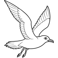 seagull bird Coloring book vector art illustration (10)